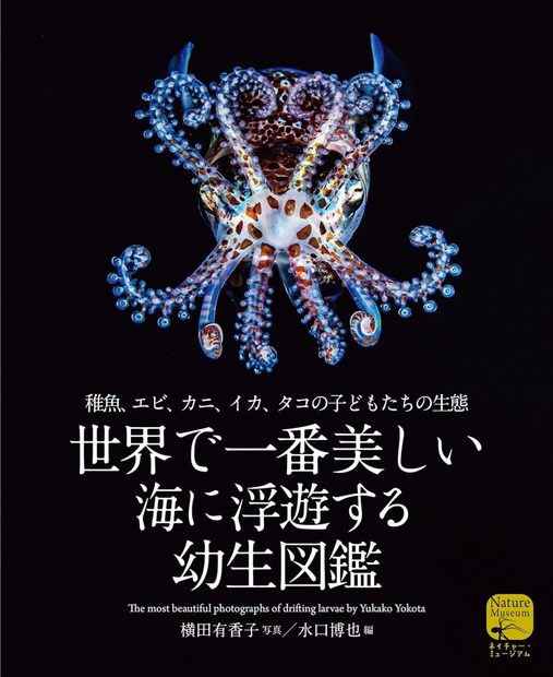 The Most Beautiful Photographs of Drifting Larvae [Japanese]