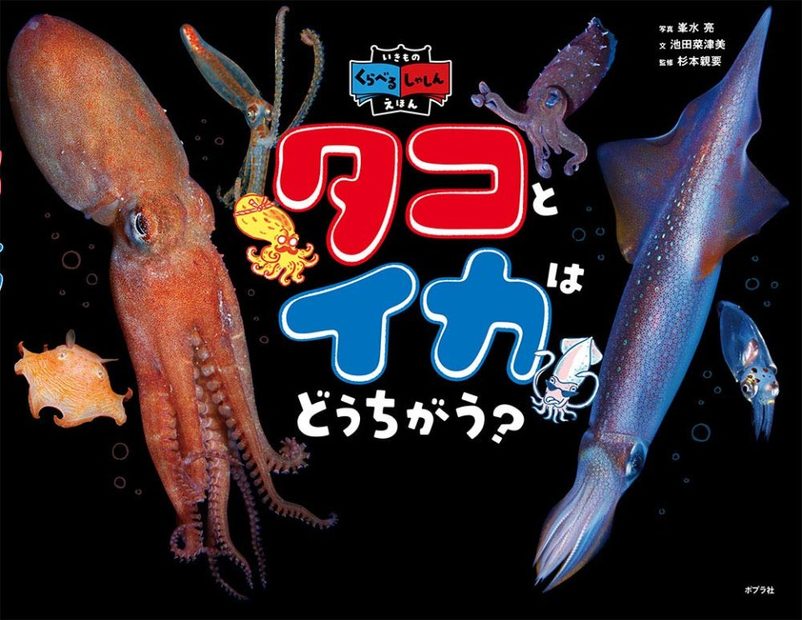 Tako To Ika Wa Dō Chigau? [What is the Difference between Octopus and Squid?]