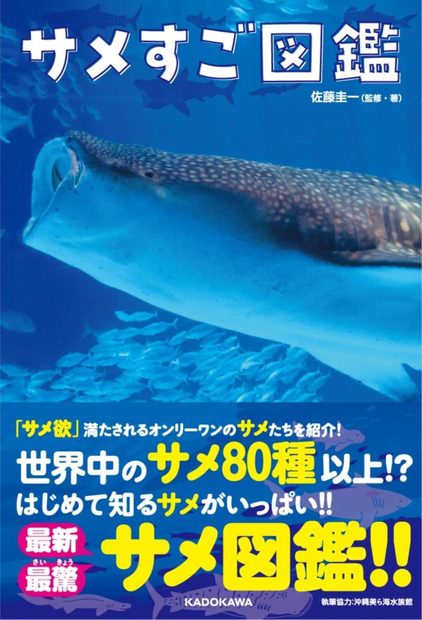 Same Sugo Zukan [Shark Picture Book] | NHBS Bookstore