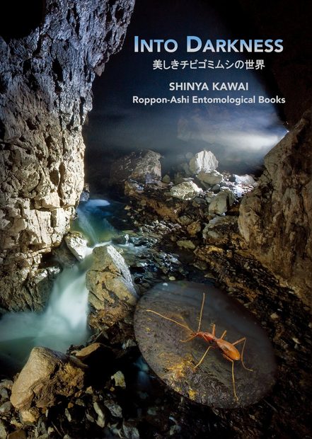 Into Darkness: The Beauty of Japanese Trechini [Japanese]