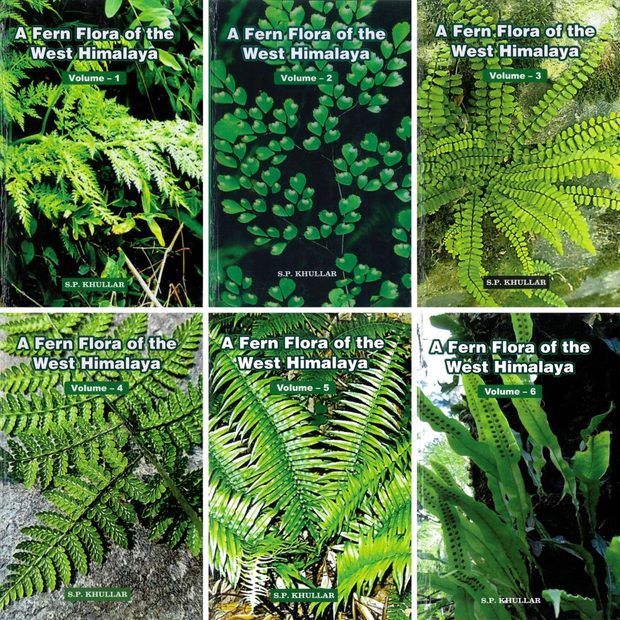 A Fern Flora of the West Himalaya (6-Volume Set)