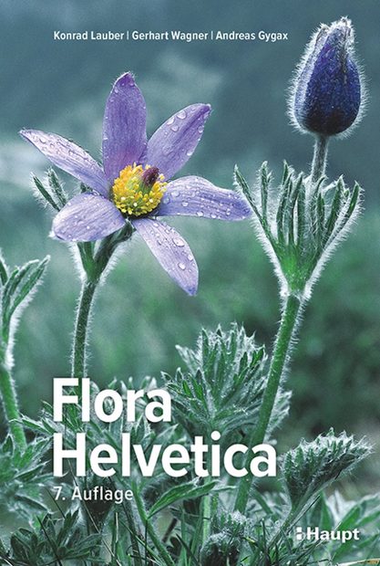 Flora Helvetica: Illustrierte Flora der Schweiz [Flora Helvetica: Illustrated Flora of Switzerland]