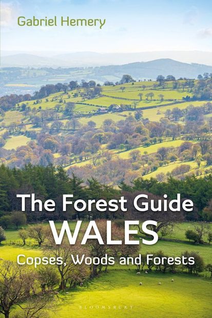 The Forest Guide Wales
