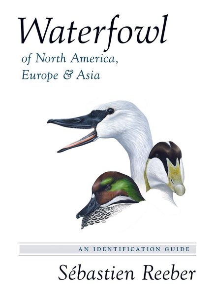 Waterfowl of North America, Europe & Asia