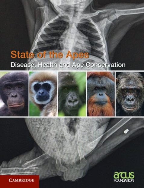 Disease, Health and Ape Conservation | NHBS Academic & Professional Books