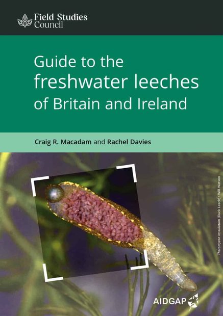 Guide to the Freshwater Leeches of Britain and Ireland