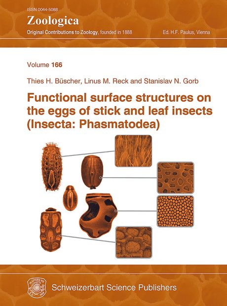 Functional Surface Structures on the Eggs of Stick and Leaf Insects (Insecta: Phasmatodea)