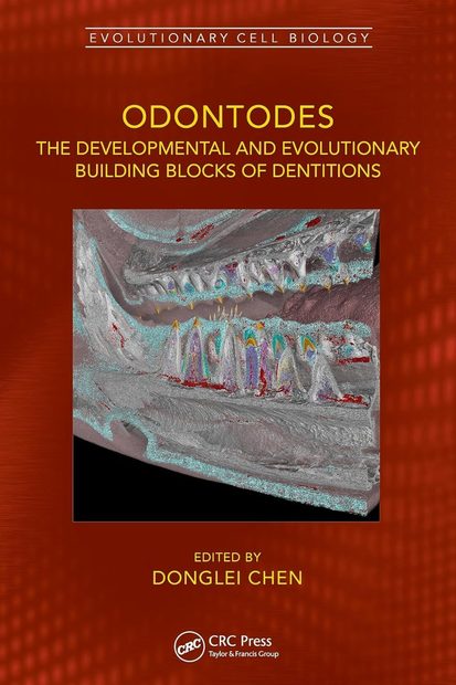 Odontodes