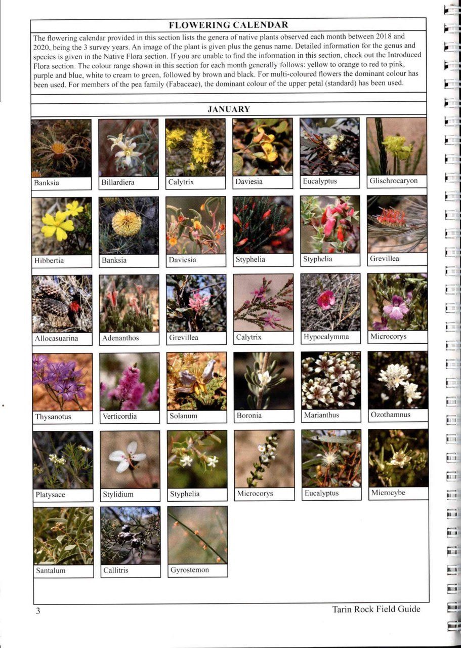 A Field Guide to the Flora of the Tarin Rock Reserves: With Supporting ...
