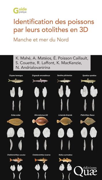 Identification des Poissons par Leurs Otolithes en Imagerie 3D: Manche et Mer du Nord [Identification of Fishes by Their Otoliths in 3D: English Channel and North Sea]