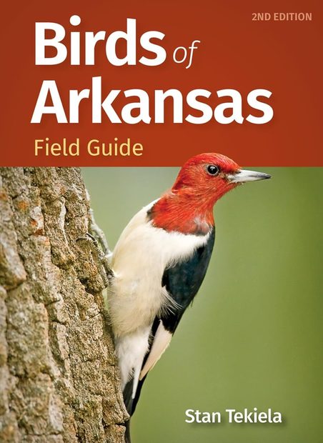 Birds of Arkansas