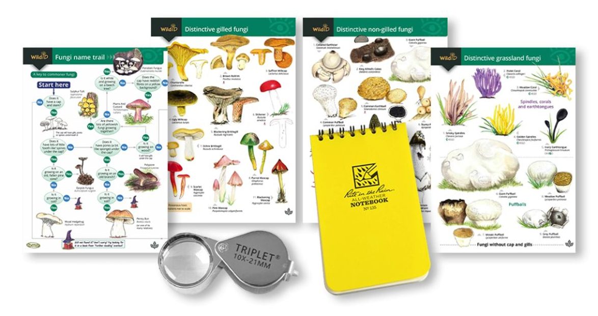 Beginners Field Mycology Kit
