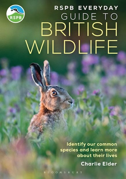 The RSPB Everyday Guide to British Wildlife