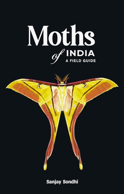 Moths of India