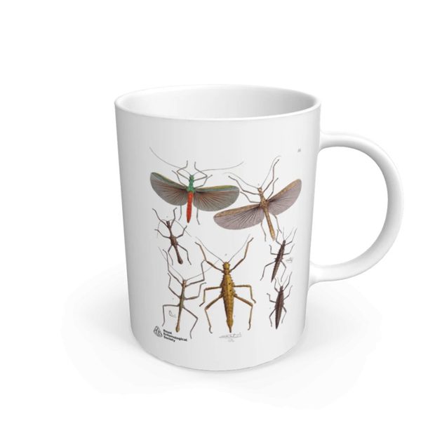 Stick Insects mug