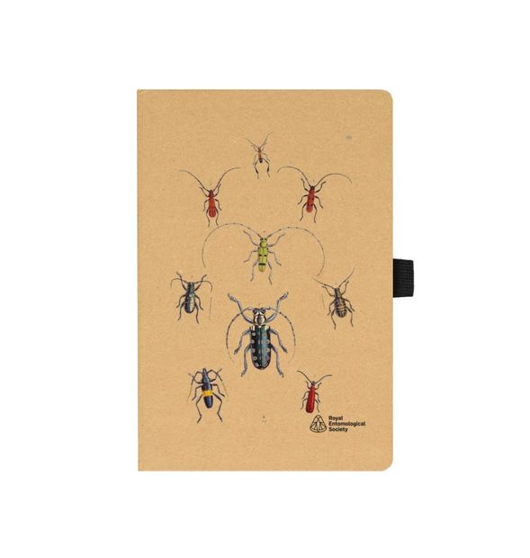 Longhorn Beetle Notebook