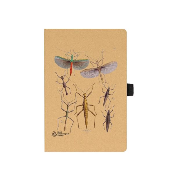 Stick Insects Notebook