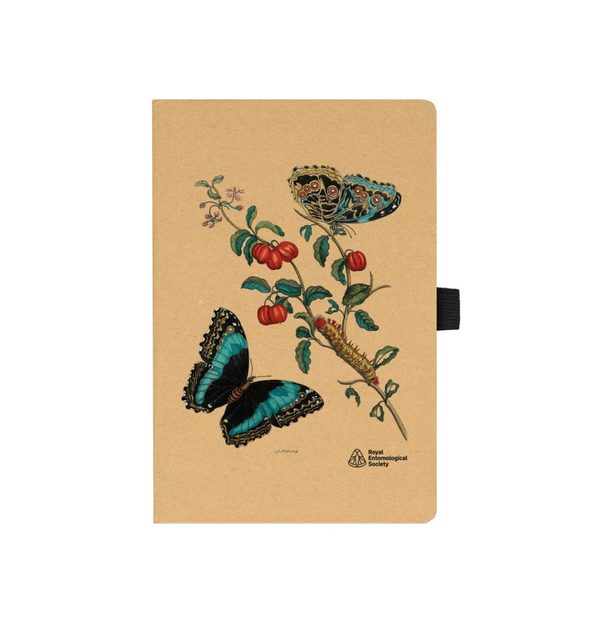 Metamorphosis Notebook 