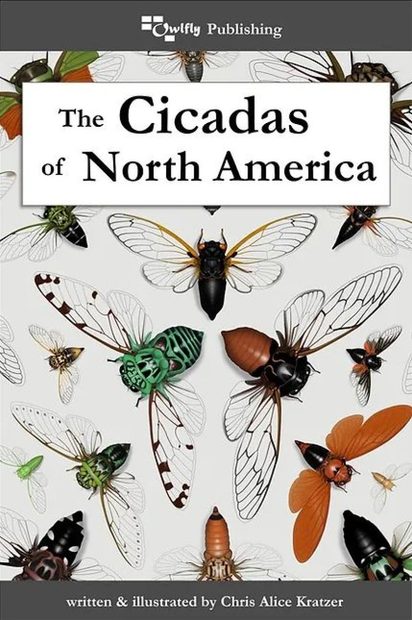 The Cicadas of North America