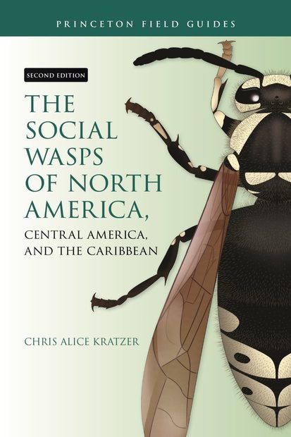 The Social Wasps of North America, Central America, and the Caribbean