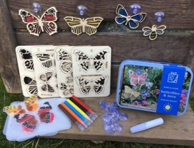 Butterflies & Bees Suncatcher Kit
