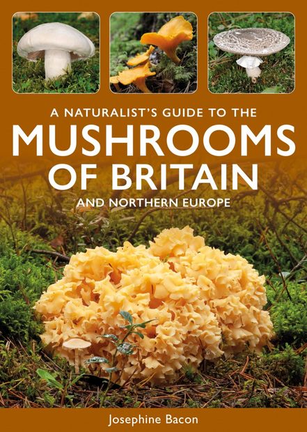 A Naturalist's Guide to the Mushrooms and Other Fungi of Britain and Northern Europe