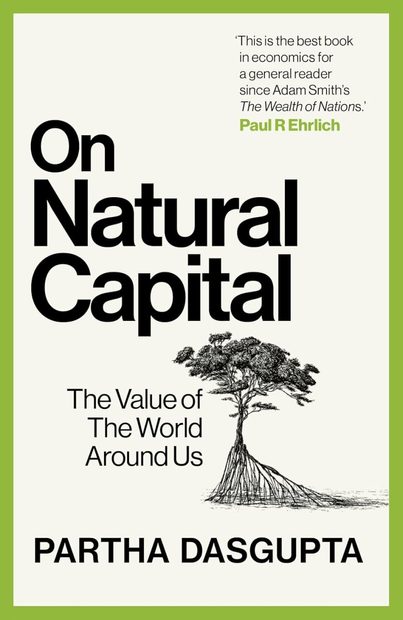 On Natural Capital
