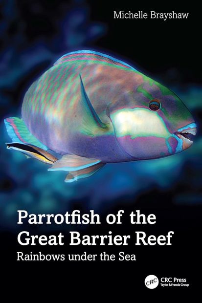 Parrotfish of the Great Barrier Reef