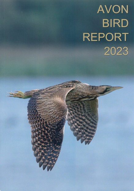 Avon Bird Report 2023