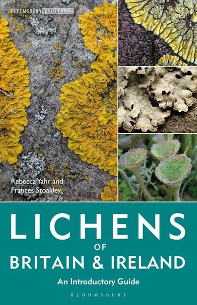 Lichens of Britain & Ireland