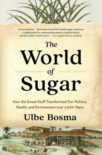 The World of Sugar