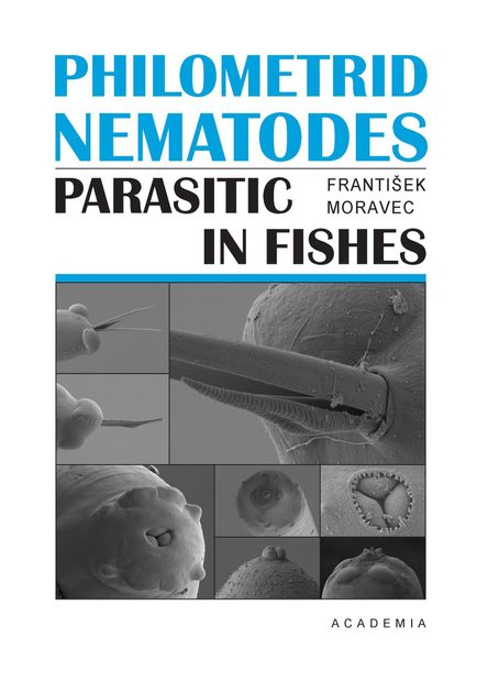 Philometrid Nematodes Parasitic in Fishes