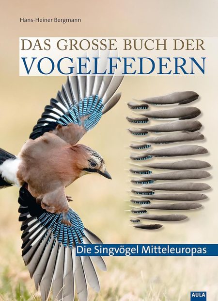 Das Grosse Buch der Vogelfedern: Die Singvögel Mitteleuropas [The Big Book of Bird Feathers: The Passerines of Central Europe]