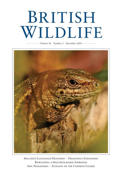 British Wildlife 36.3 December 2024