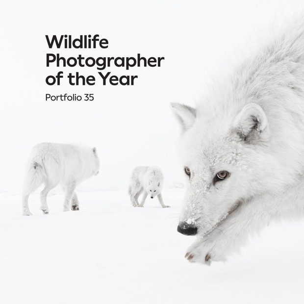 Wildlife Photographer of the Year, Portfolio 35