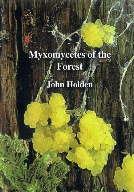 Myxomycetes of the Forest