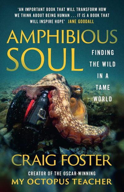 Amphibious Soul