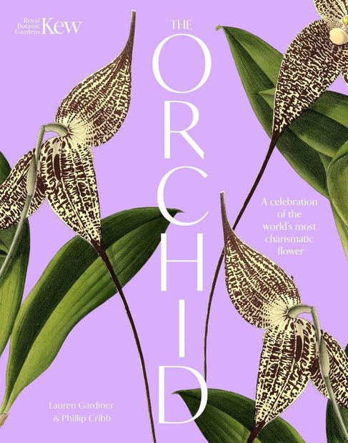 The Orchid