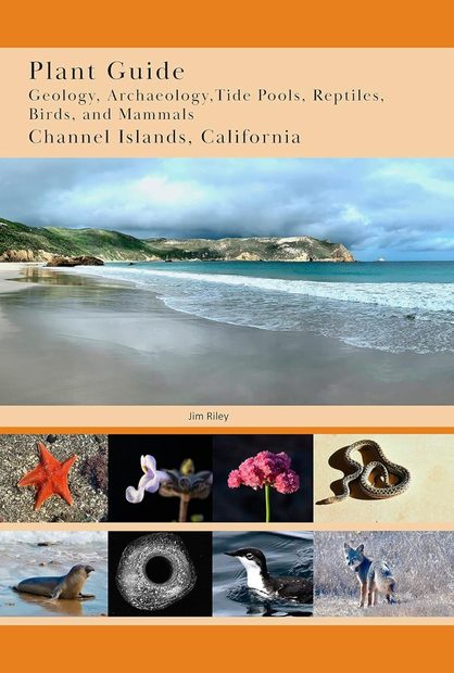 Plant Guide: Geology, Achaeology, Tide Pools, Reptiles, Birds, and Mammals, Channel Islands, California