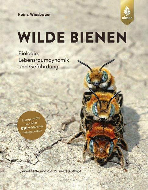 Wilde Bienen: Biologie, Lebensraumdynamik und Gefährdung [Wild Bees: Biology, Habitat Dynamics and Conservation Status]