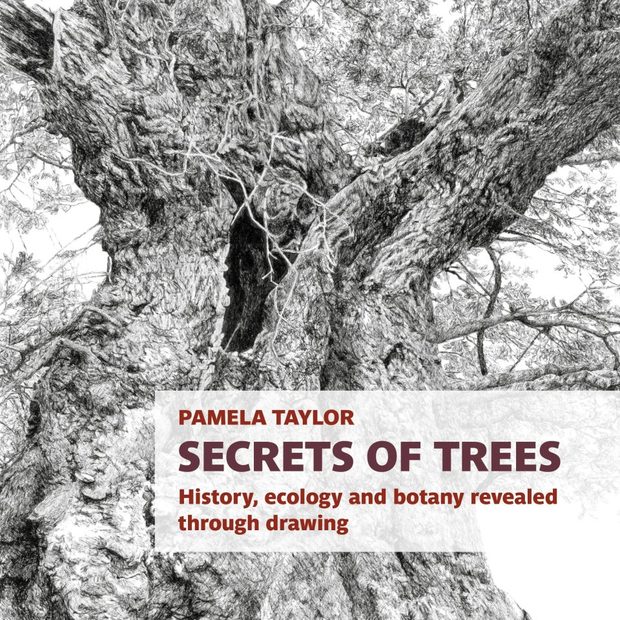 Secrets of Trees