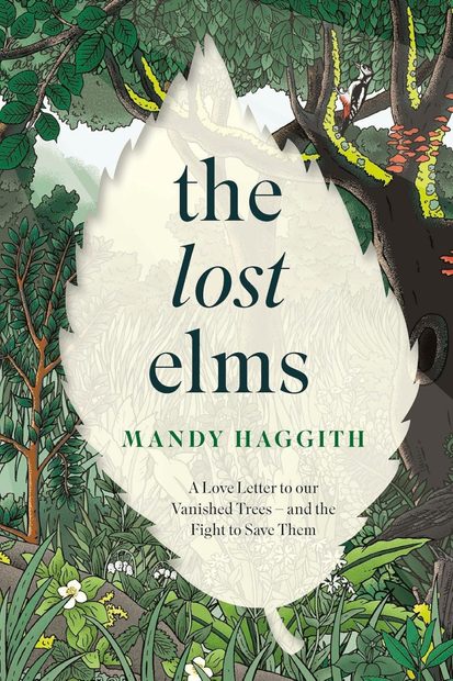The Lost Elms