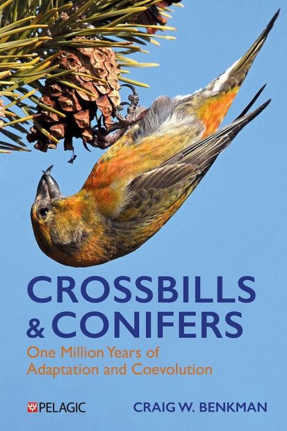 Crossbills & Conifers
