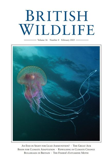 British Wildlife 36.4 February 2025
