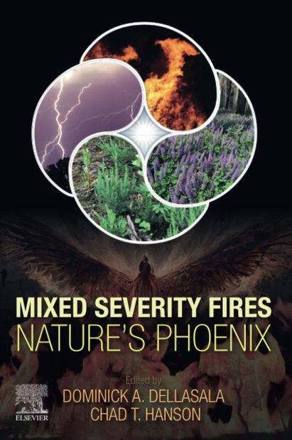 Mixed Severity Fires