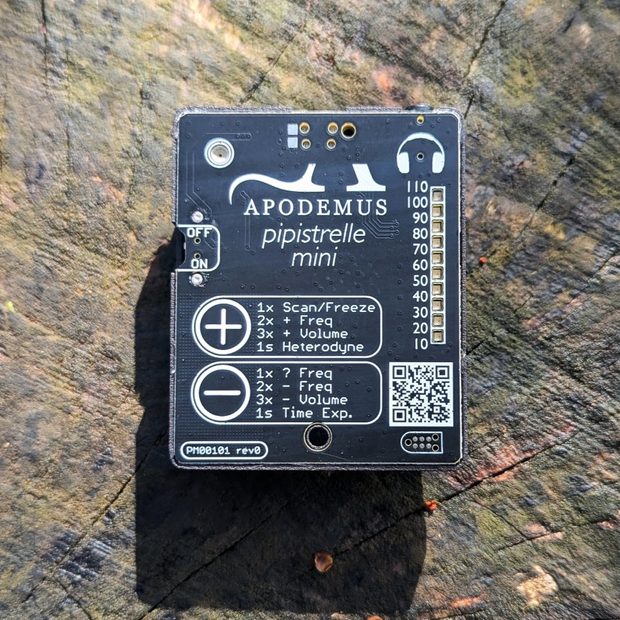 Apodemus Pipistrelle Mini