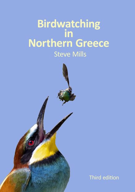 Birdwatching in Northern Greece