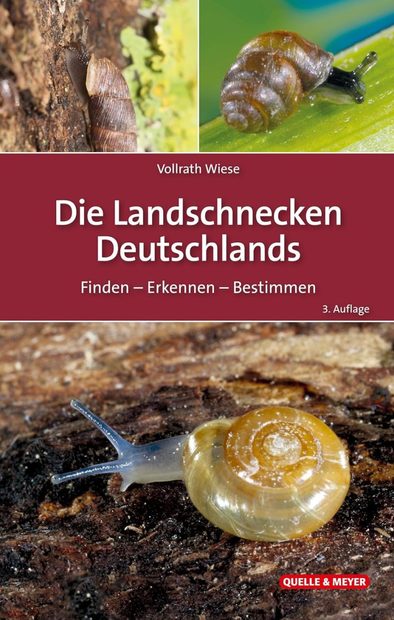 Die Landschnecken Deutschlands: Finden – Erkennen – Bestimmen [The Land Snails of Germany: Finding – Recognizing – Identifying]