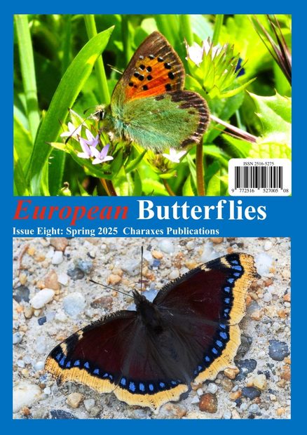 European Butterflies, Issue 8: Spring 2025
