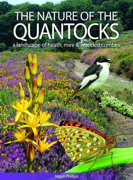 The Nature of the Quantocks